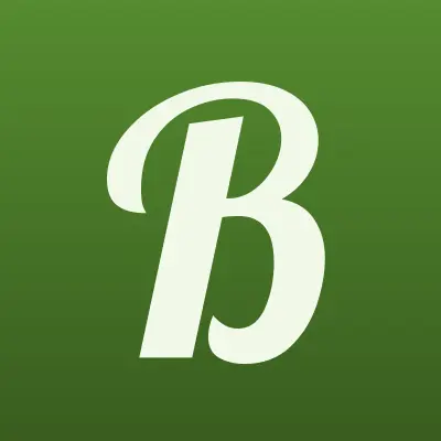 БМГ, торговая компания, лого-визитка