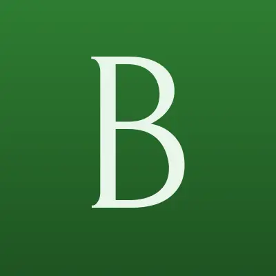 Беркана, центр правовой и финансовой защиты, лого-визитка