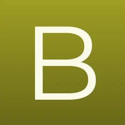 Большие модницы, лого-визитка