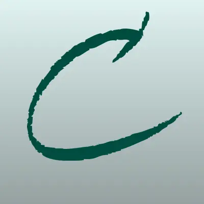 Chiptuning35.ru, лого-визитка