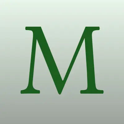 МегаФон, сеть фирменных салонов, лого-визитка