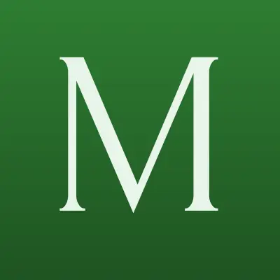 Мегастрой, лого-визитка