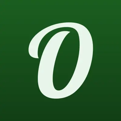 Оптика 35, лого-визитка