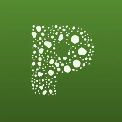 PROFIX, сервисный центр, лого-визитка