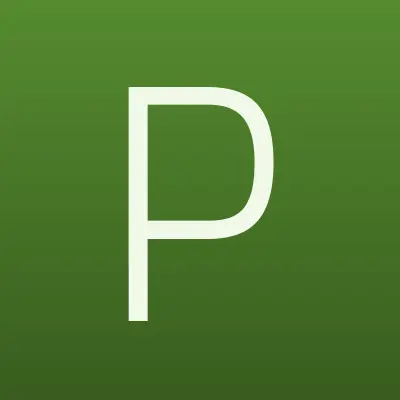 Profi, фото-видеостудия, лого-визитка