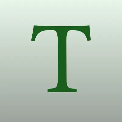 Тойс Плюс, оптовая компания, лого-визитка