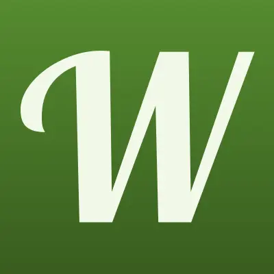 Win сервис, сервисная компания, лого-визитка
